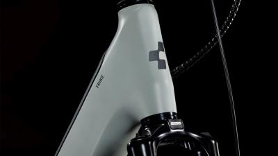 Cube Trike Family Hybrid 750 swampgrey'n'reflex Gr&ouml;&szlig;e: 24" / 20": ONE SIZE Produktbild 1