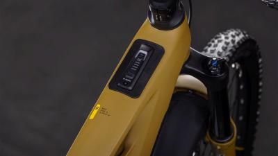 Cube Stereo Hybrid ONE77 HPC Race 800 willowgreen'n'black Gr&ouml;&szlig;e: M Produktbild 1