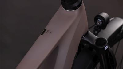 Cube Kathmandu Hybrid EXC 800 cedar'n'chrome Gr&ouml;&szlig;e: 50 cm Produktbild 1